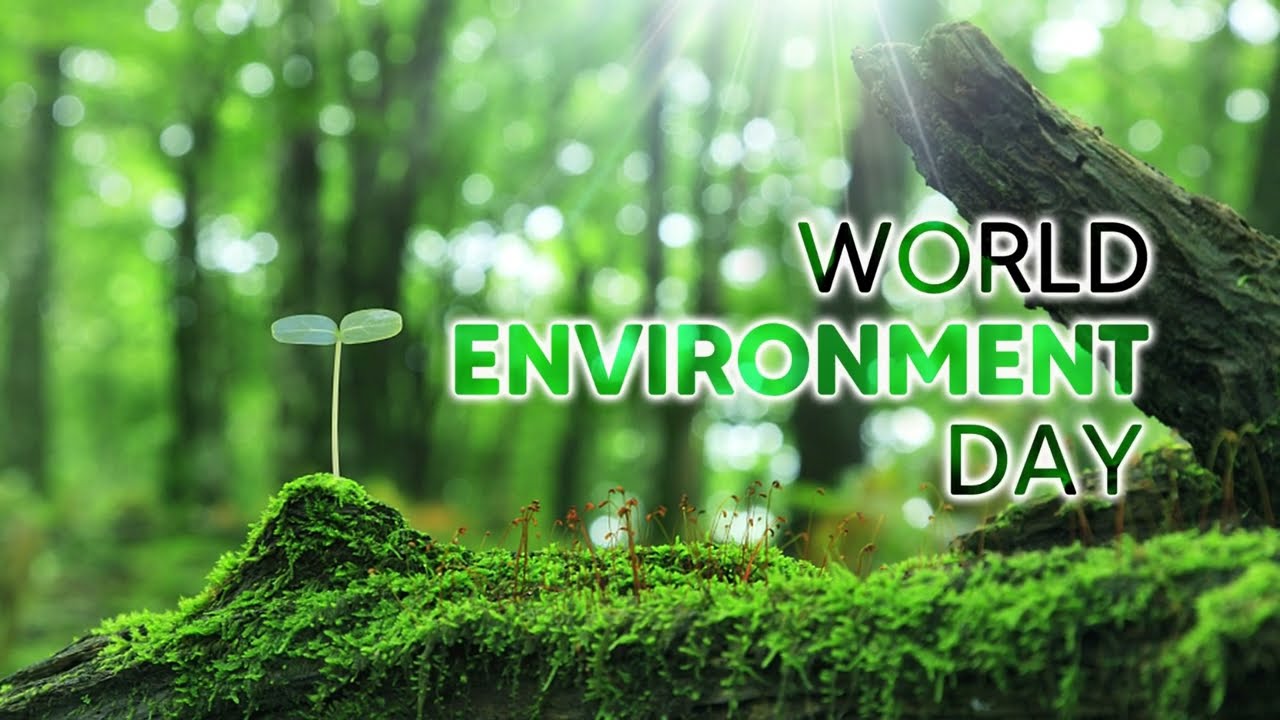World Environment Day 2022 | Environment Day Celebration | 5 June | One Earth