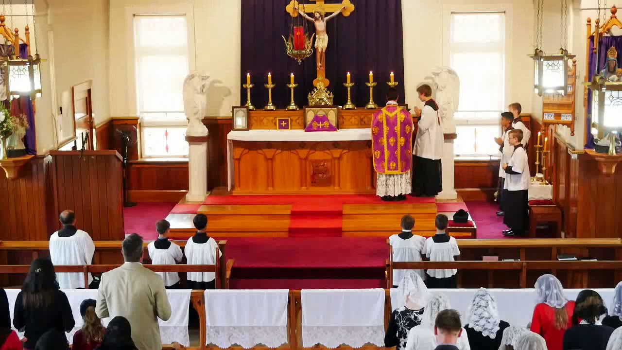 SSPXNZLIVE Livestream - 16 Feb. 2020 High Mass(Sexagesima Sunday)