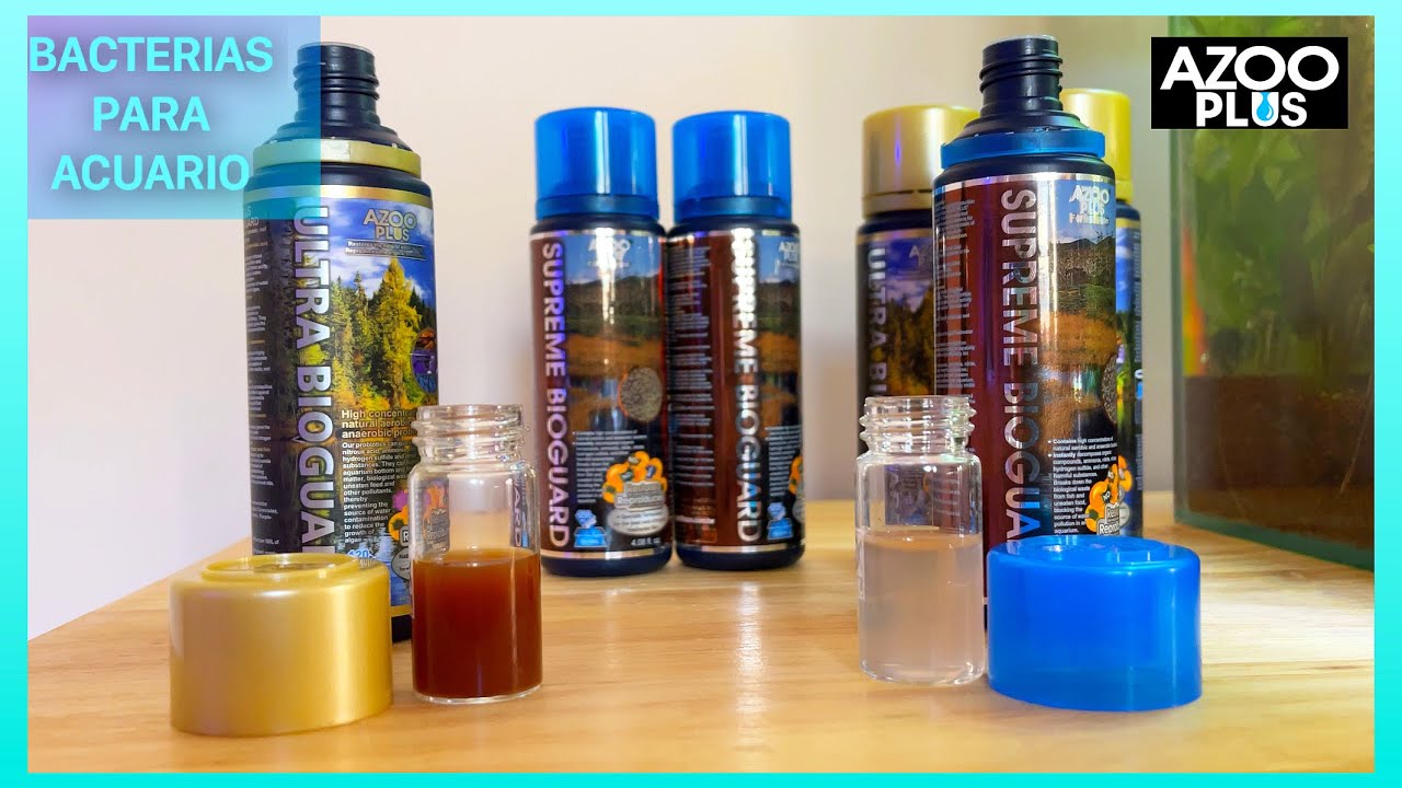 AZOO ULTRA - SUPREME BIOGUARD / COMO SELECCIONAR BACTERIAS PARA ACUARIO 🦠