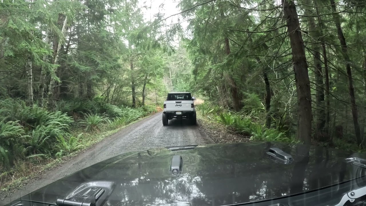 OffRoading Trail near Mt Rainier, Jeep Wrangler POV