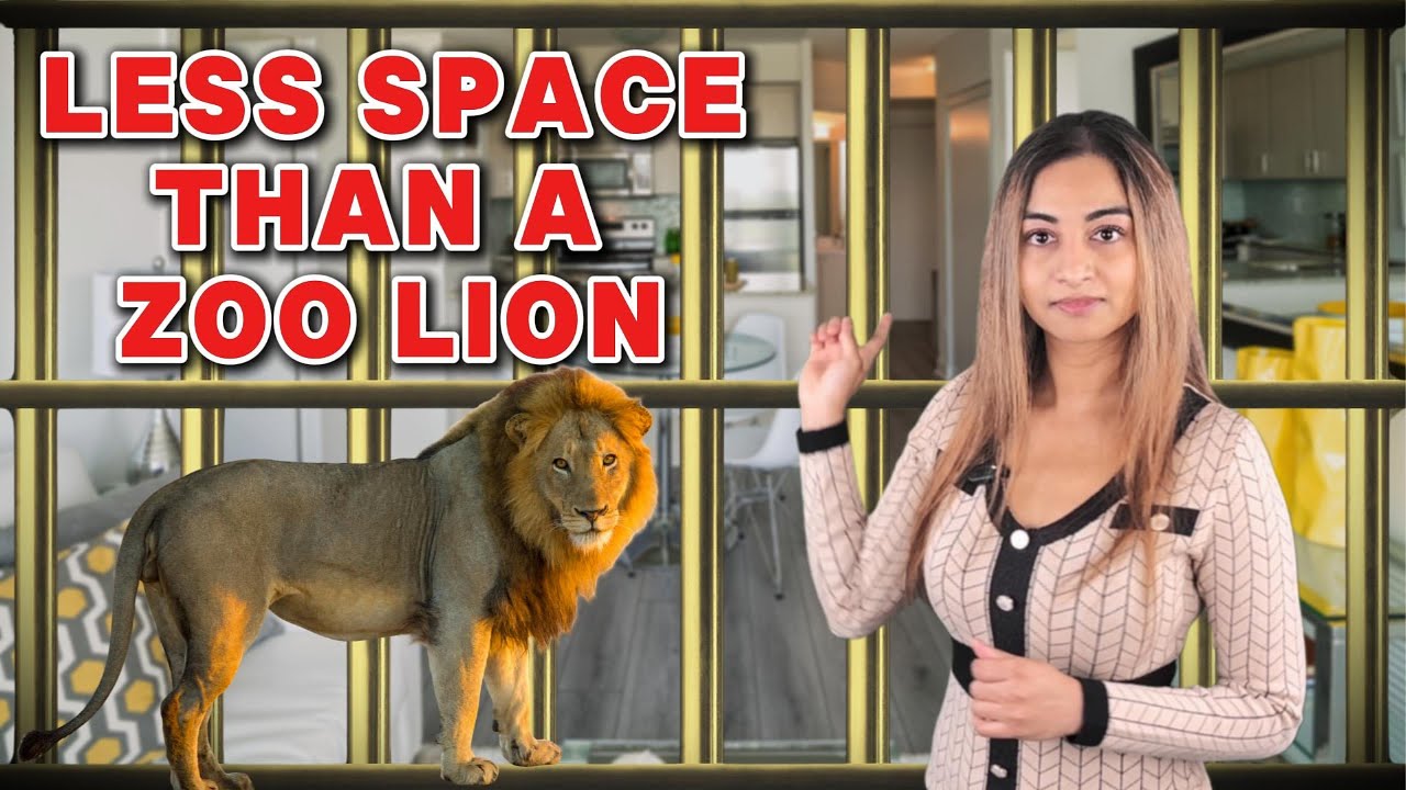 500 Square Feet: A Diagnosis of Modern Captivity