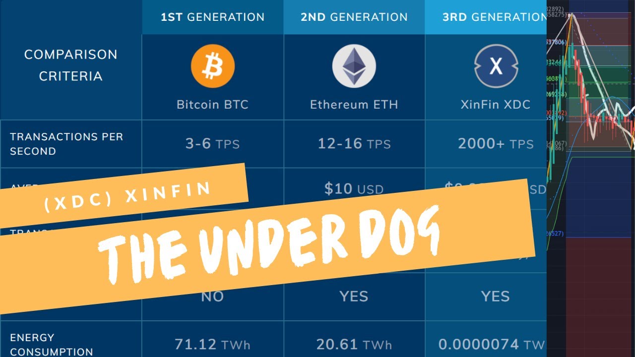 [XDC] XINFIN - The Under Dog