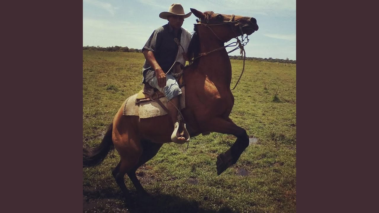 El Llano De Aquellos Tiempos