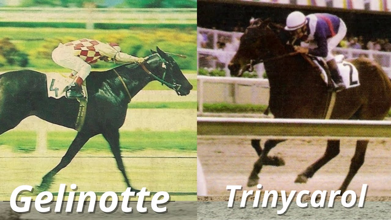 Trinycarol vs Gelinotte - La Rinconada