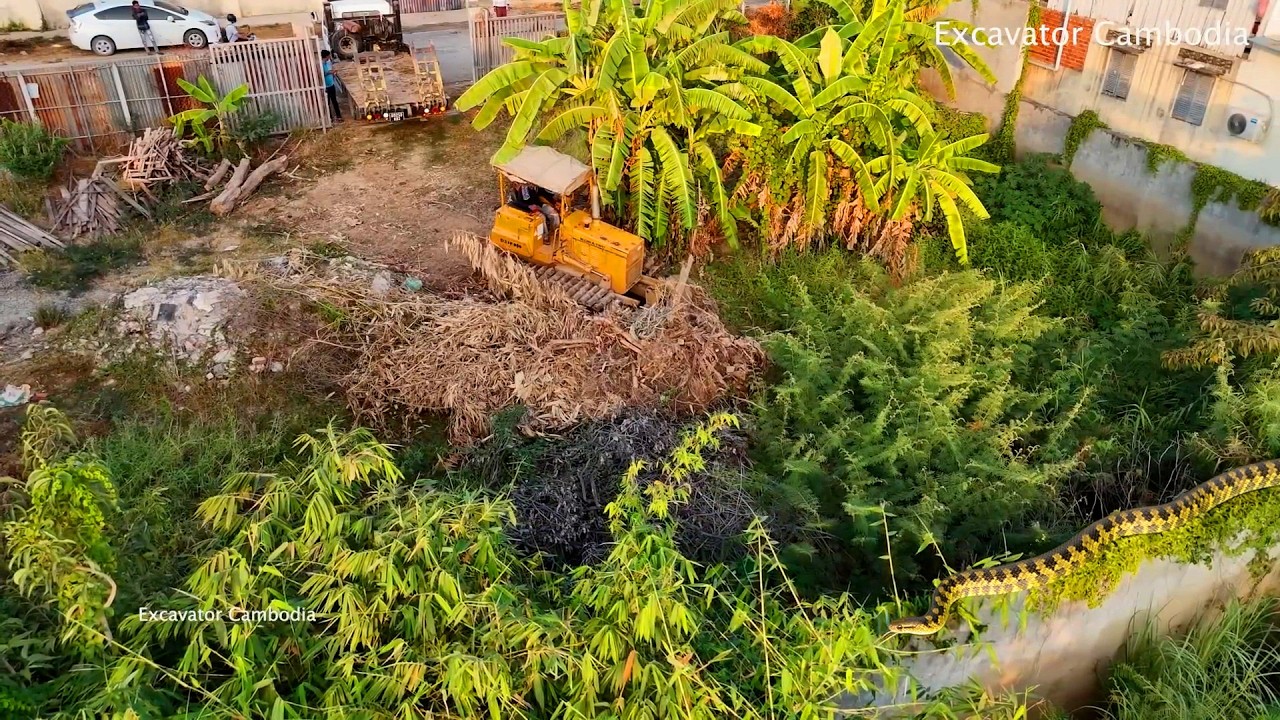 New Project!! Bulldozer D31P KUMATSU Truck 5TON pushing soil to remove pond To create a warehouse