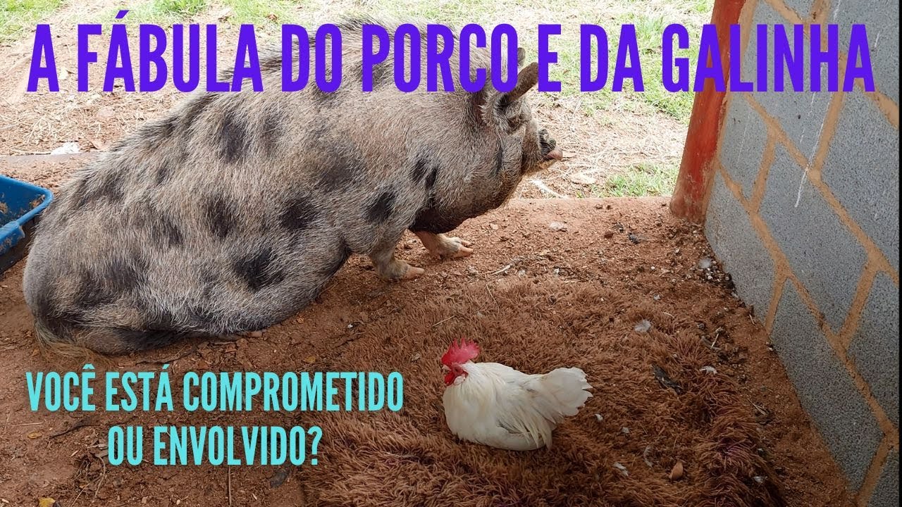 A FÁBULA DO PORCO E DA GALINHA - VOCÊ ESTÁ COMPROMETIDO OU ENVOLVIDO?