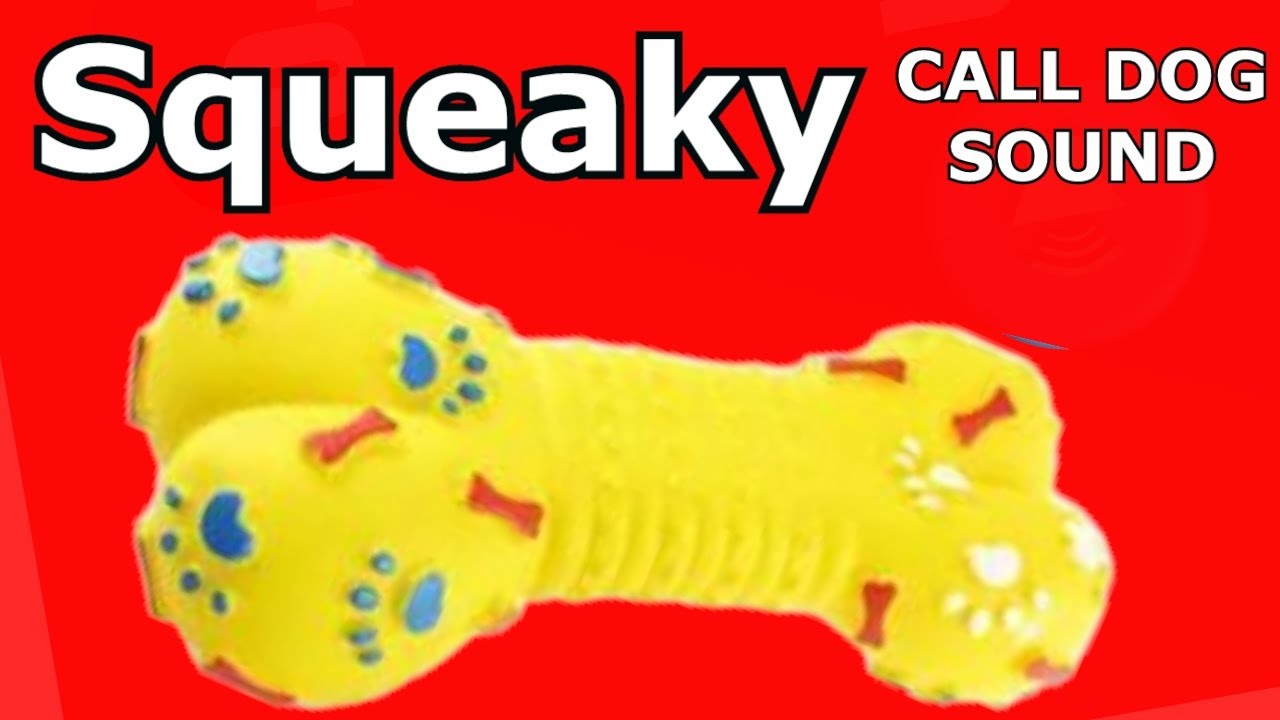 Dog Squeaky Toy -  Sounds to attract dogs  #prankyourdog #squeaky