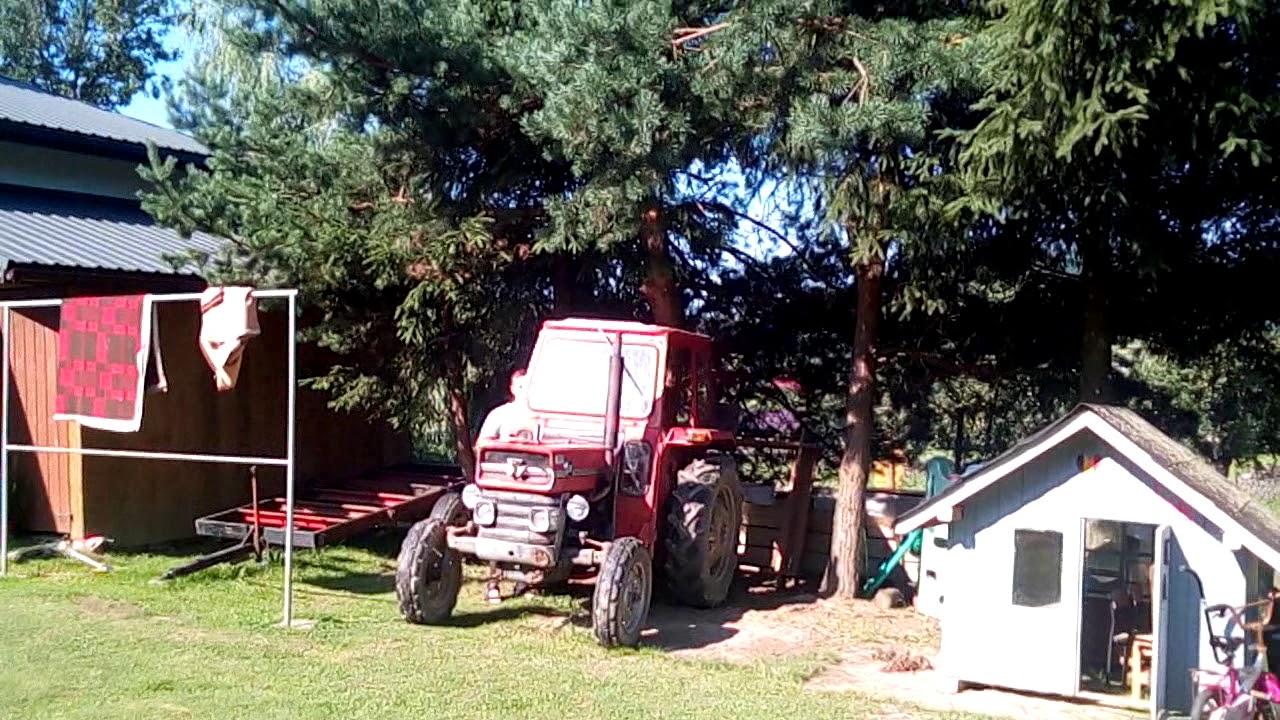 Mf135