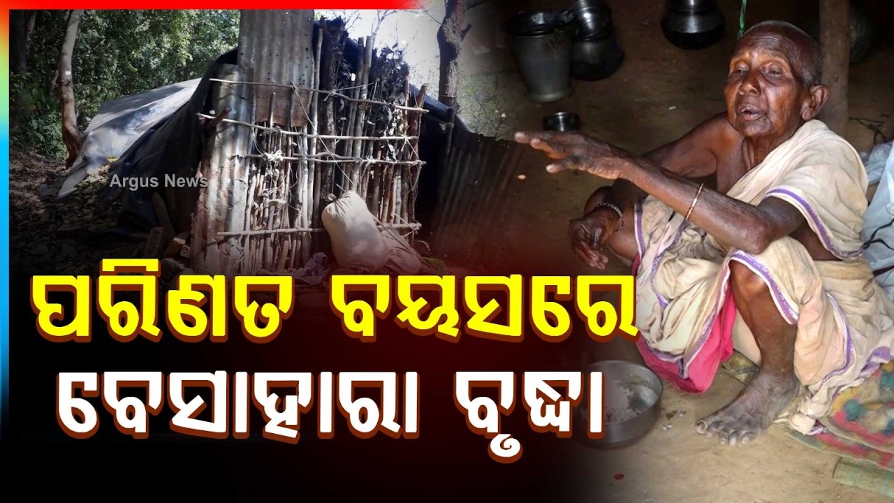 କେବେ ମିଳିବ ଘର ? | Elderly Woman Lives Under Polythene Despite