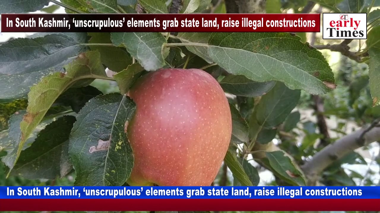 In South Kashmir, &lsquo;unscrupulous&rsquo; elements grab state land, raise illegal constructions