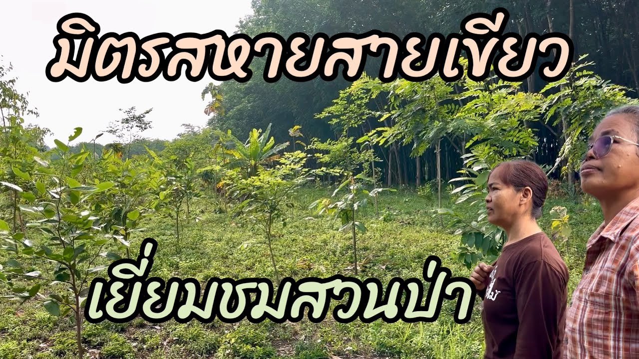 มิตรสหายสายเขียวมาเยี่ยมชมสวนป่า