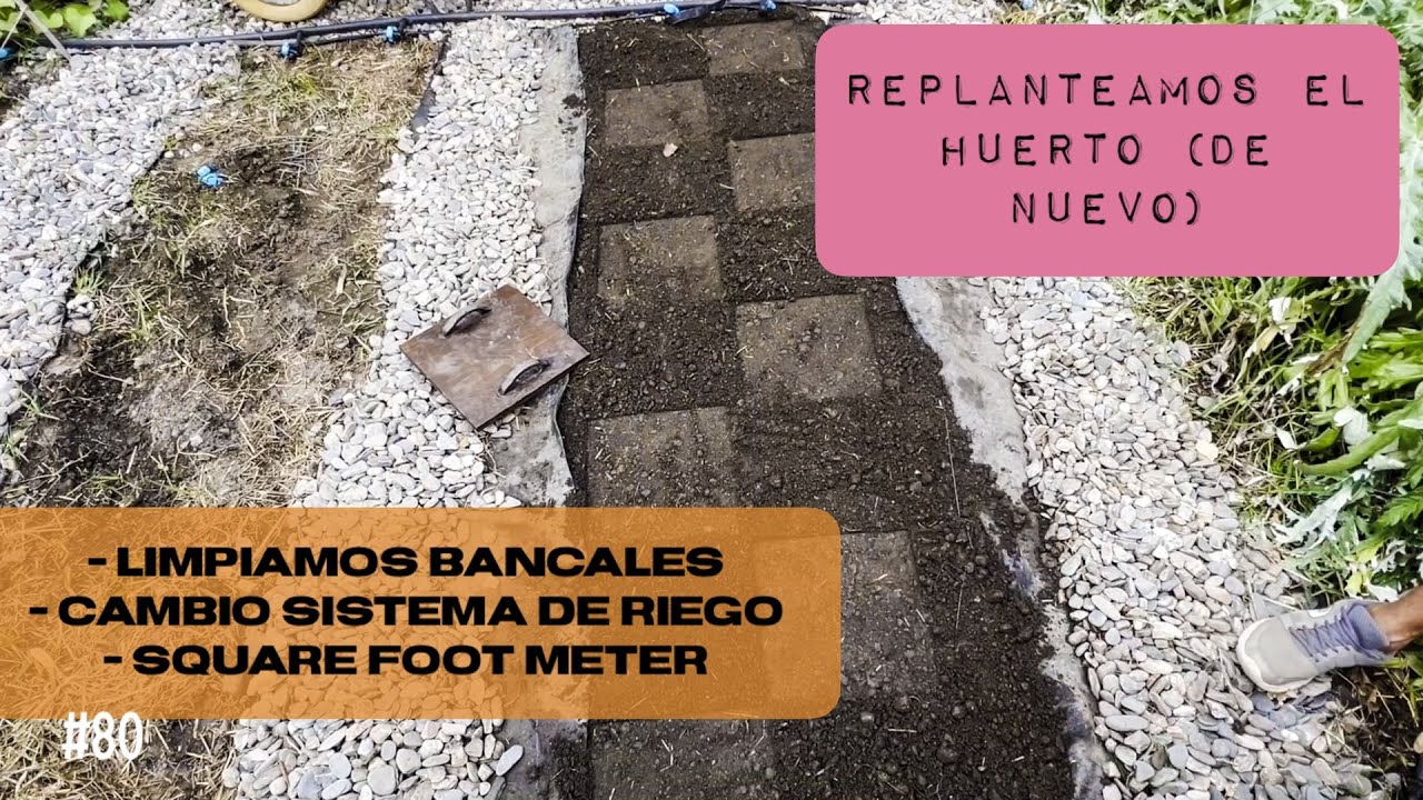 #80| Pensaba que era tarde pero hemos llegado A TIEMPO a poner planteles de OTOÑO/INVIERNO
