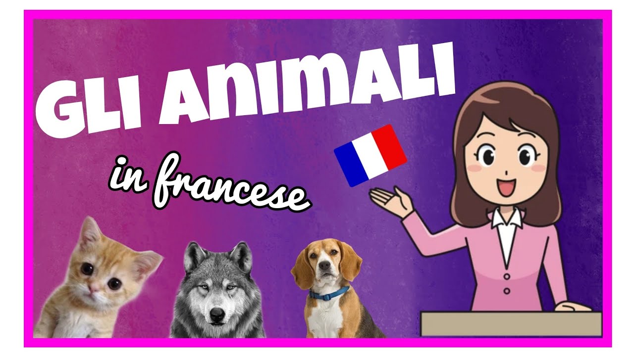 Impariamo gli animali in francese 🇨🇵 : scrittura , pronuncia e genere 🐰🐱🐶 #french #learn