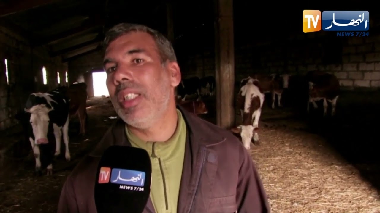 الطارف / محمد الطاهر.. شاب تحدى الصعاب فحقّق الحلم