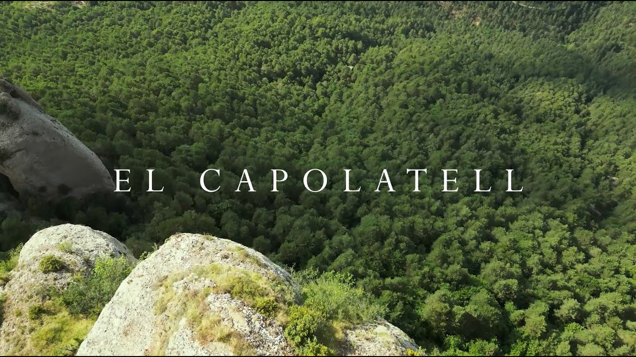 Avenc del Capolatell