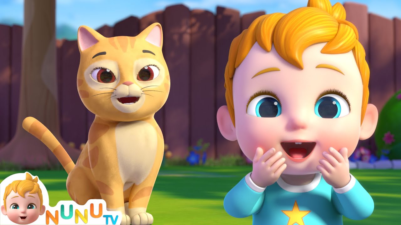 Milo The Cat | The Cat Song 😻 | Nursery Rhymes & Kids Songs | NuNu Tv