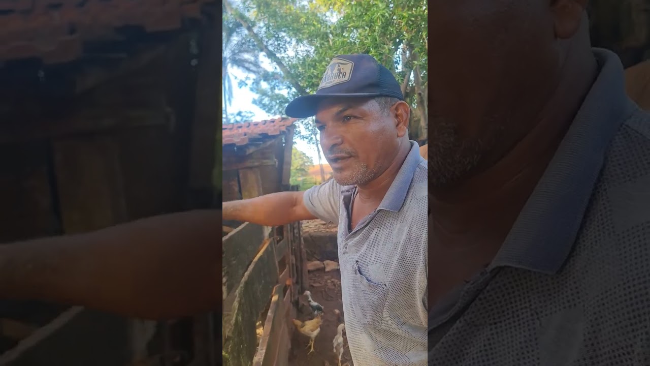 Bom dia Deus gratidão gratidão 