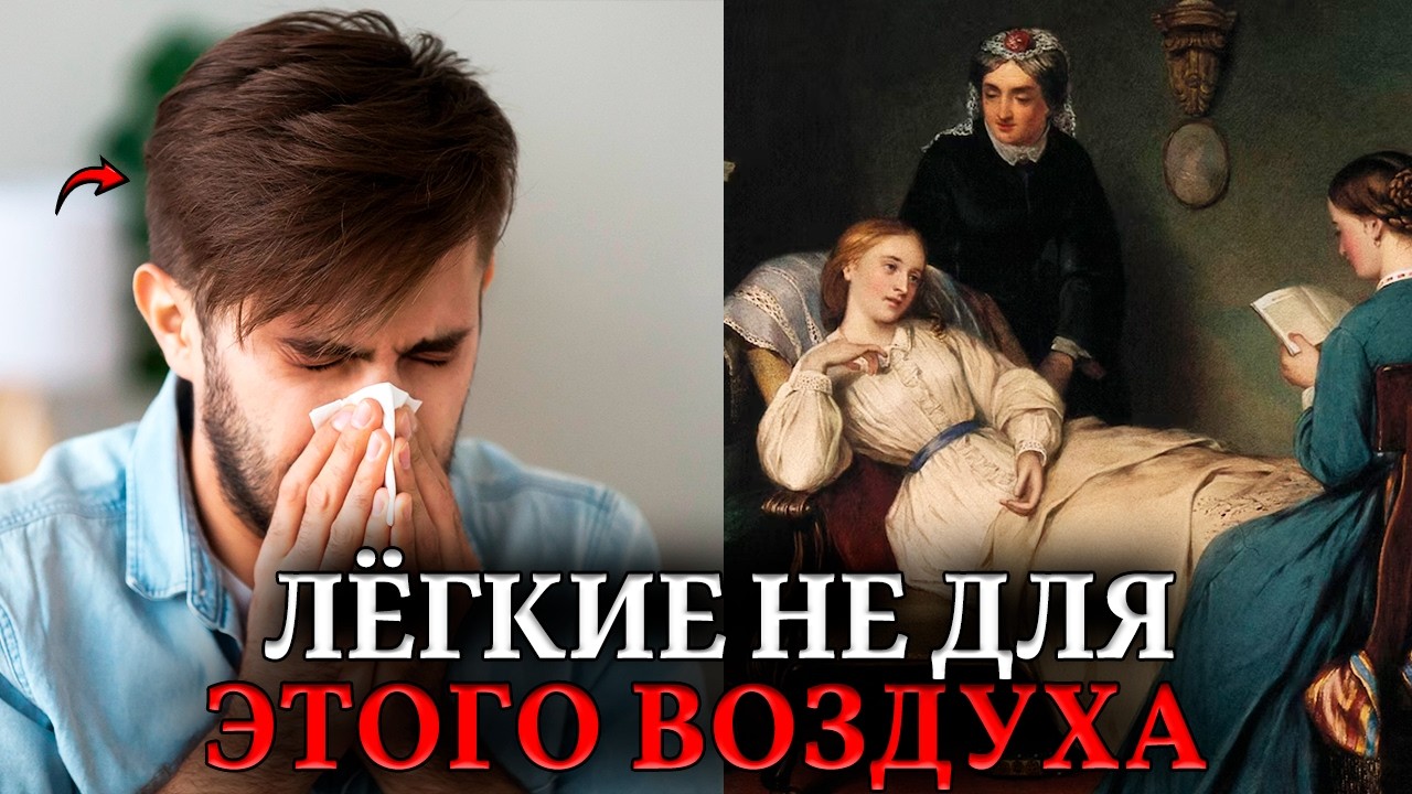 ЛЕГКИЕ НЕ ДЛЯ ЭТОГО ВОЗДУХА. Почему человек — единственное животное с хроническим насморком?