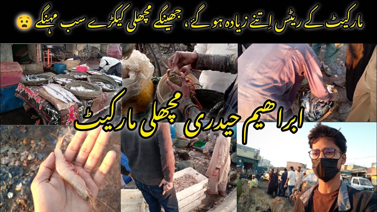 Fish Market Latest Update | Crabs khareednay chala gaya 🦀 | Ibrahim Haydery fish Market