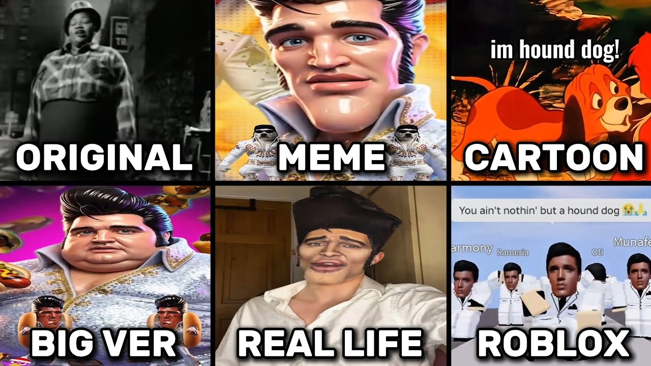 You Ain't Nothing But A Hound Dog Meme All Variants
