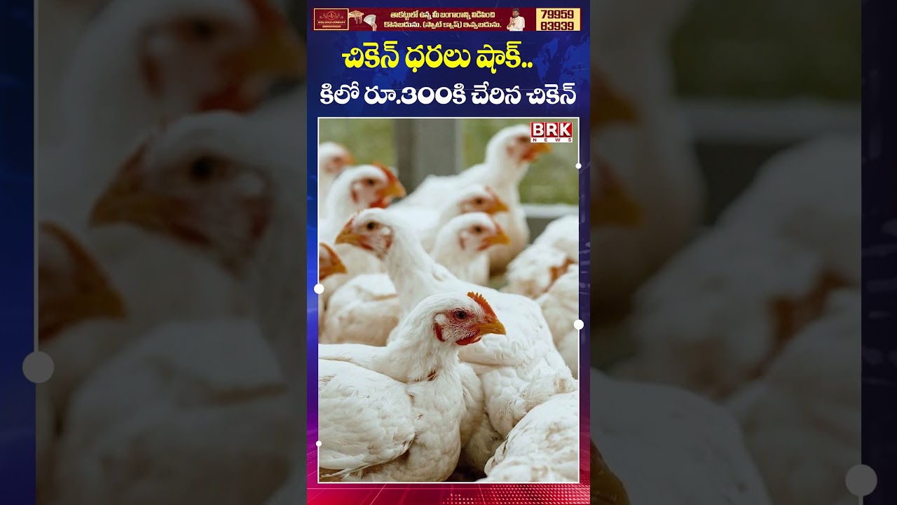 Chicken Prices Hit ₹300 Per Kg 😱😱| Consumers Feel the Heat || BRK News