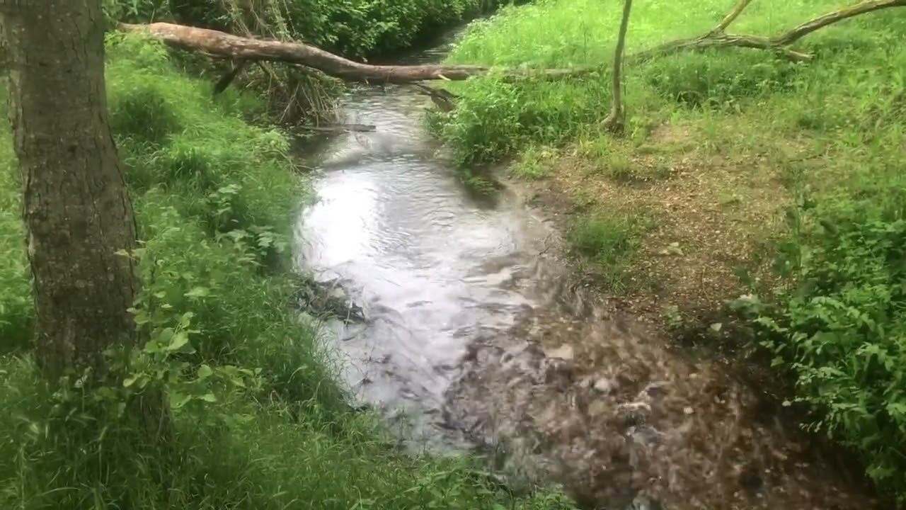 Kırklareli cevizköy