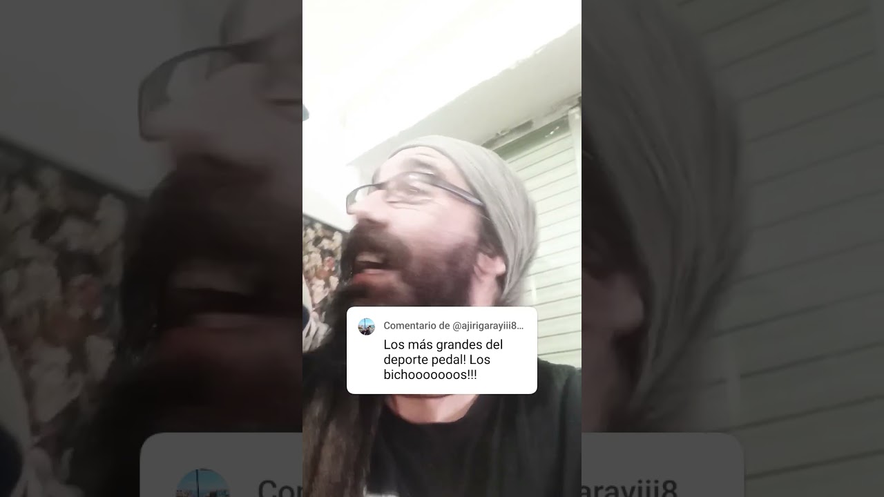 BichoRespuesta!