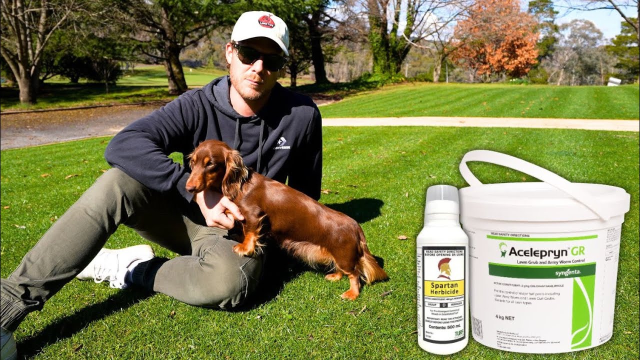 Give Your Lawn its Best Season Ever!! //Pre-emergent and Acelepryn Application