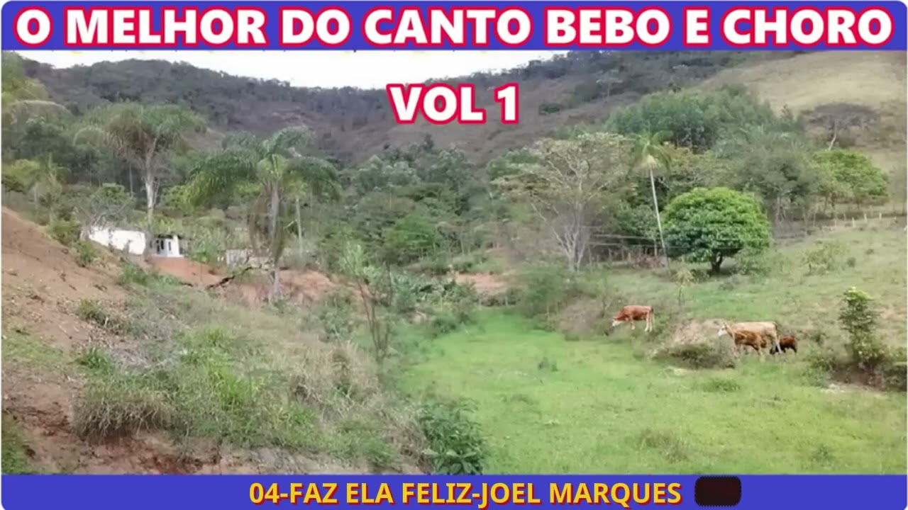 O MELHOR DO CANTO BEBO E CHORO-VOL 1