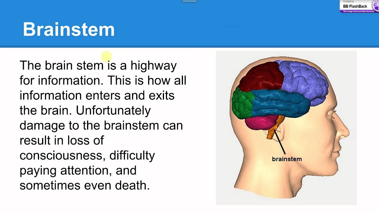 TBI Presentation video