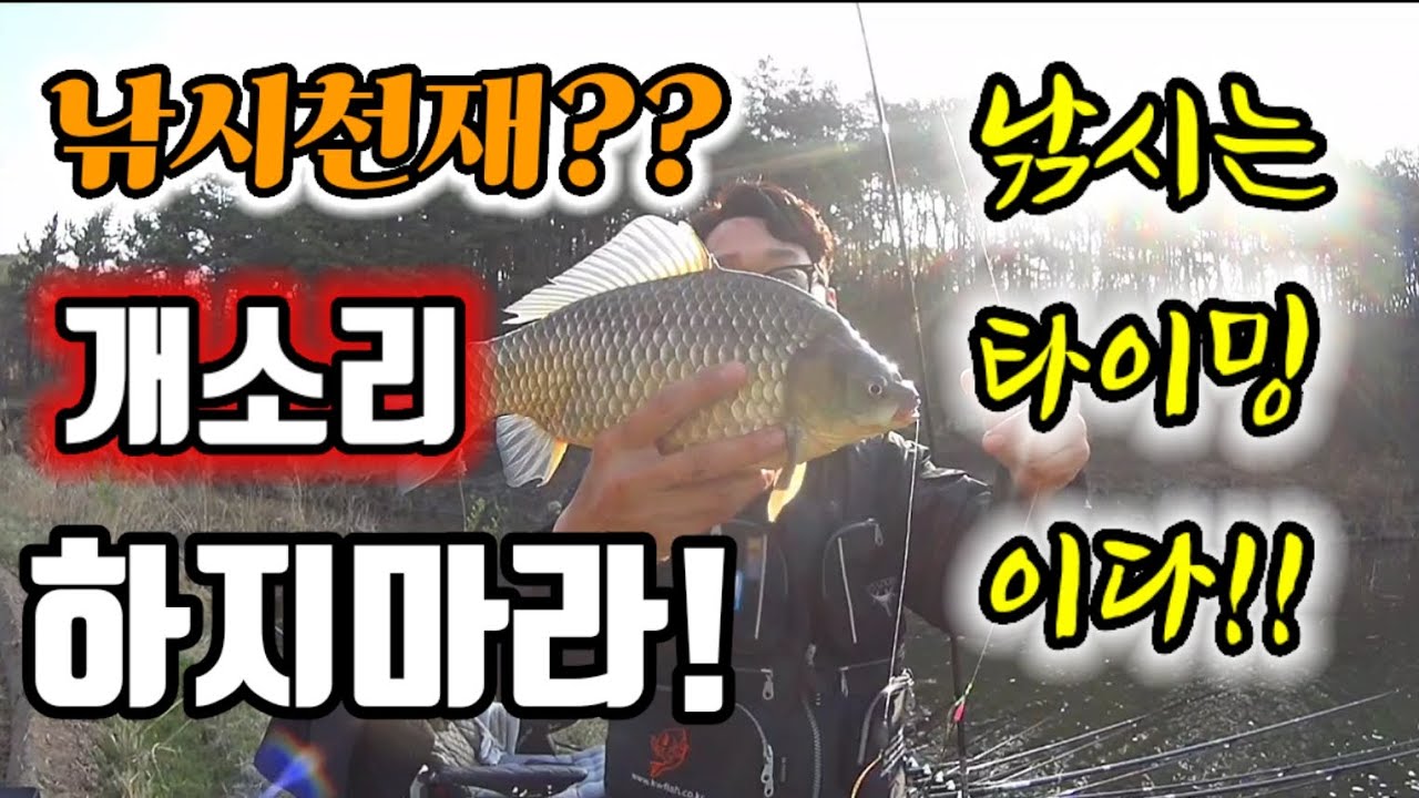 실력은 개뿔!~/낚시는 타이밍 이다!!