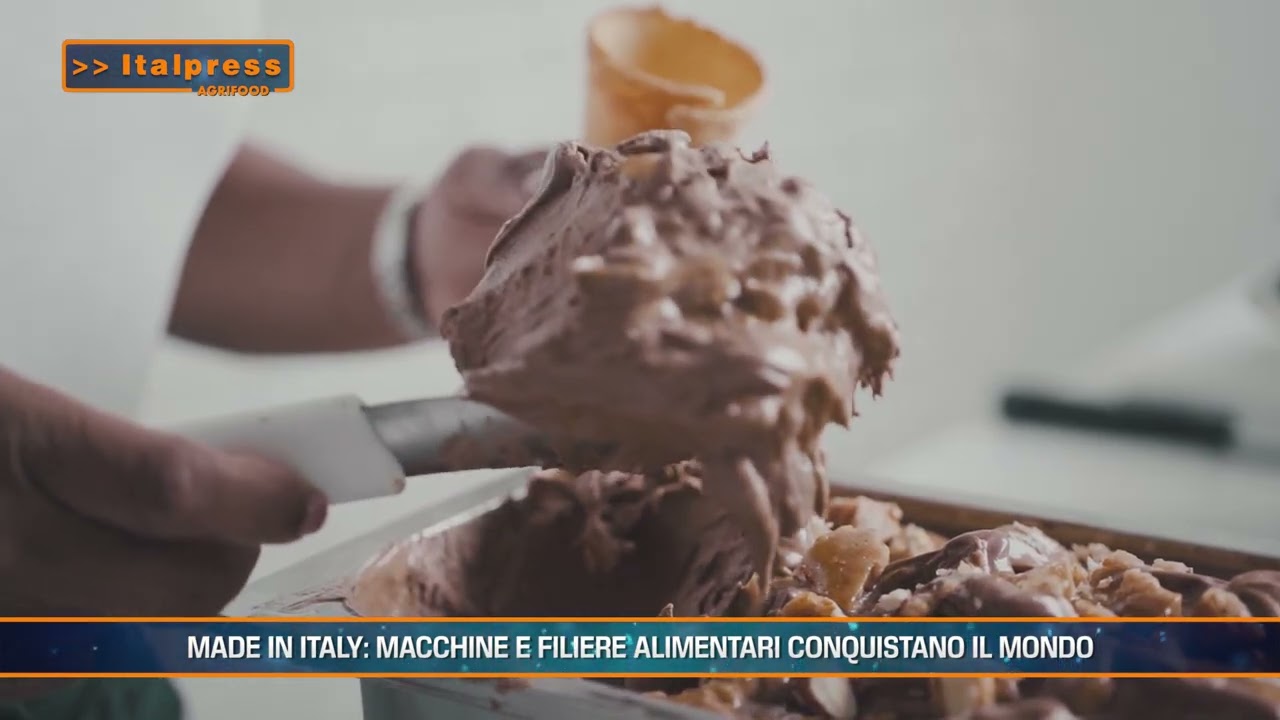 Riso, spesa alimentare, Made in Italy, cibo - Agrifood Magazine