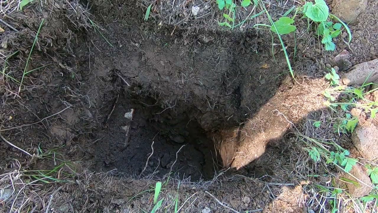 Digging Soil ASMR [8] Part-1 Raw
