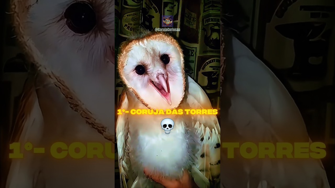 10 SONS de P&Aacute;SSAROS Mais ASSUSTADORES da Natureza! #shorts