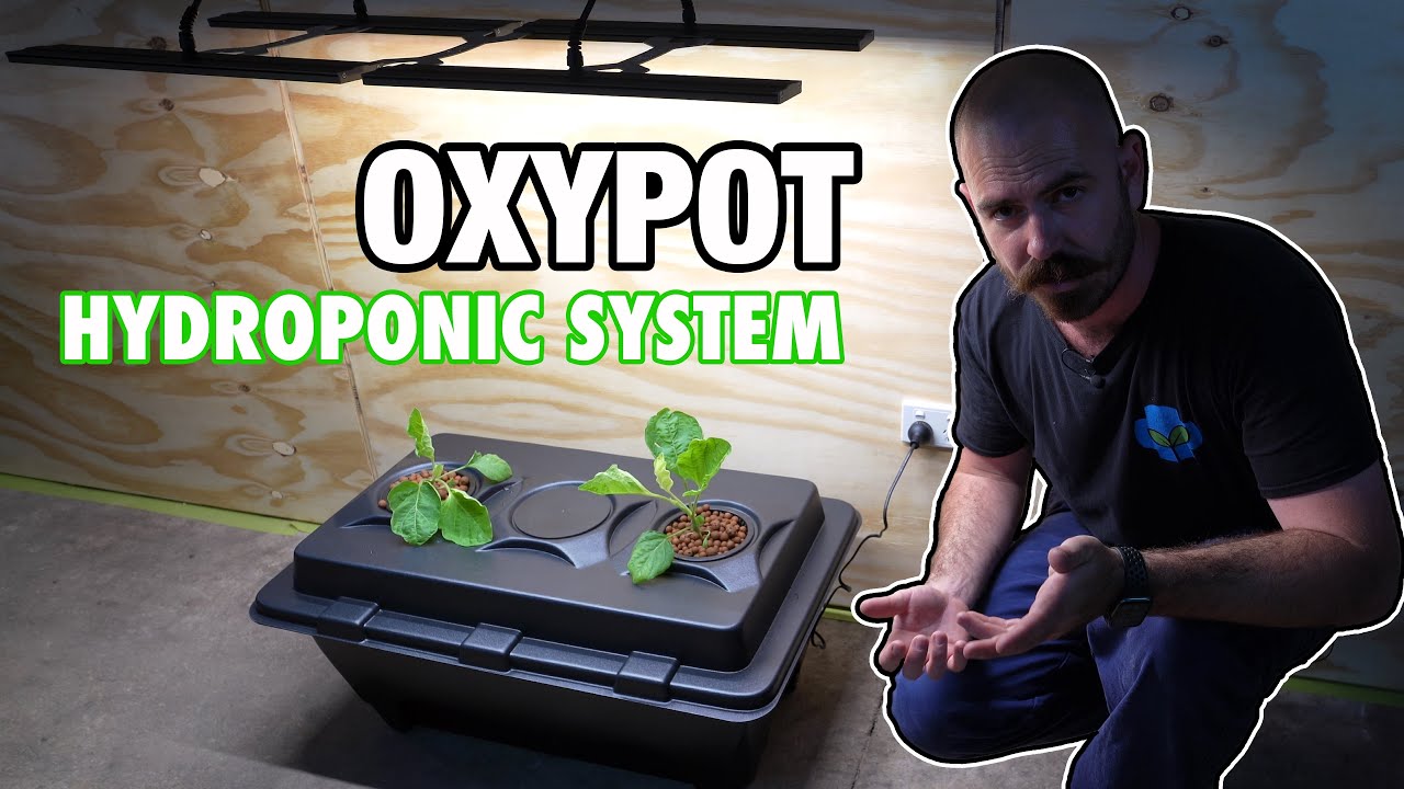 Hybrid Aeroponic / Deep Water Culture Hydroponic System: Oxypot XL Review