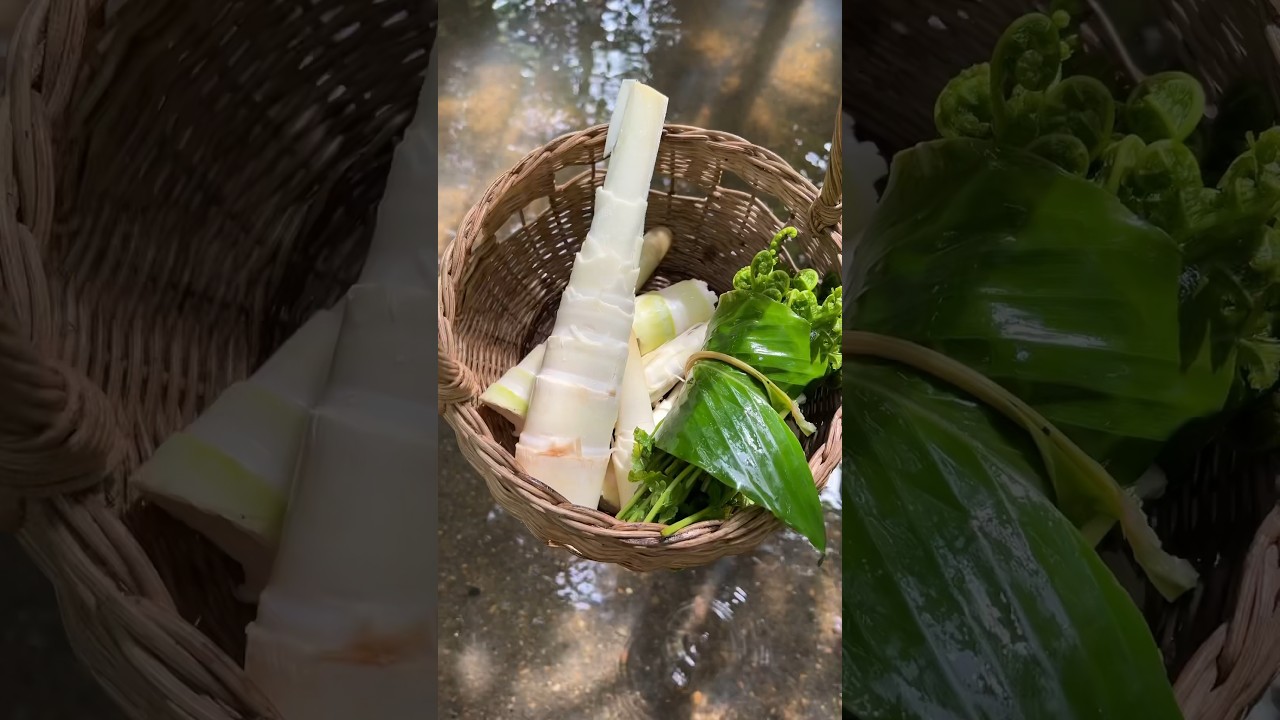 aktifitas di desa, perik rebung kecil buat sayur