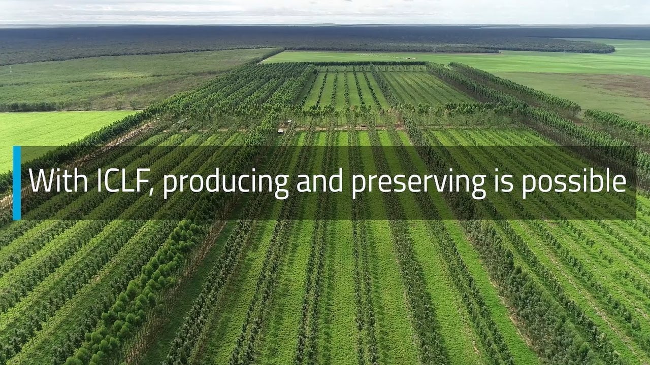 ICLF brings sustainability to the Brazilian countryside