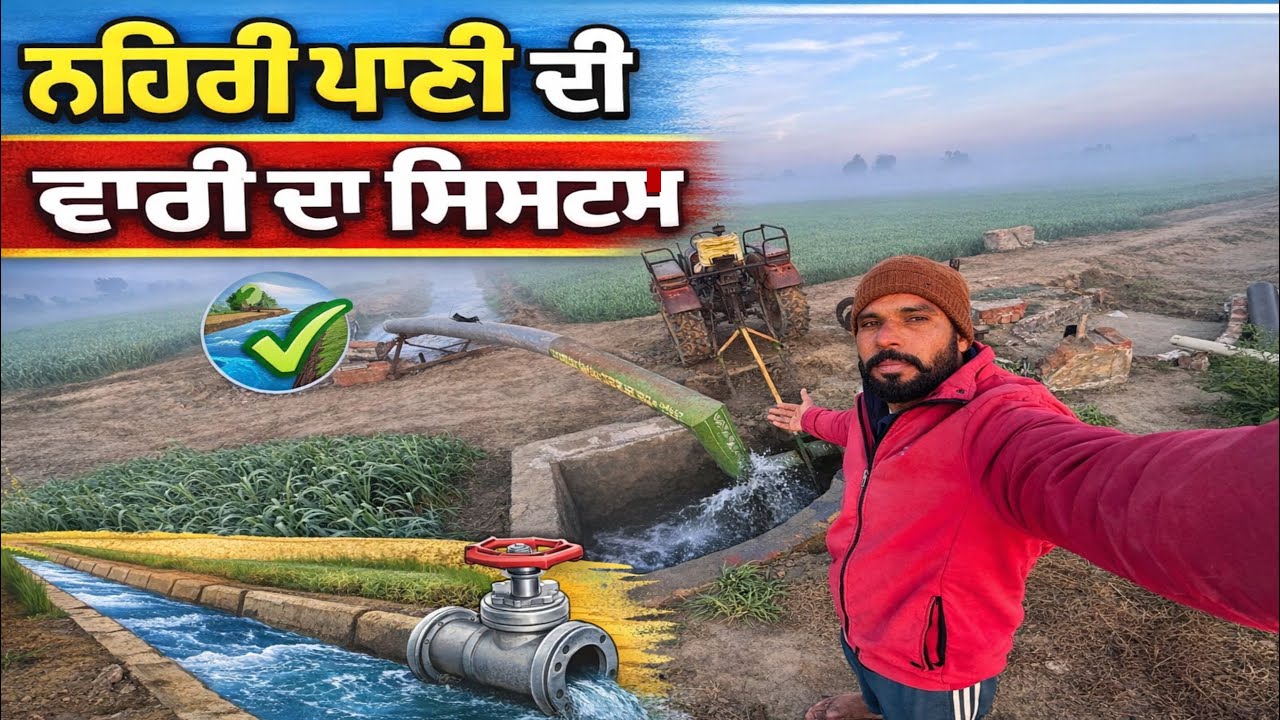 ਸਾਡਾ ਨਹਿਰੀ ਪਾਣੀ ਦੀ ਵਾਰੀ ਲਾਉਣ ਦਾ ਸਿਸਟਮ 💧 ਪੂਰਾ ਨਜ਼ਾਰਾ 🌾 Mani Brar Vlogs