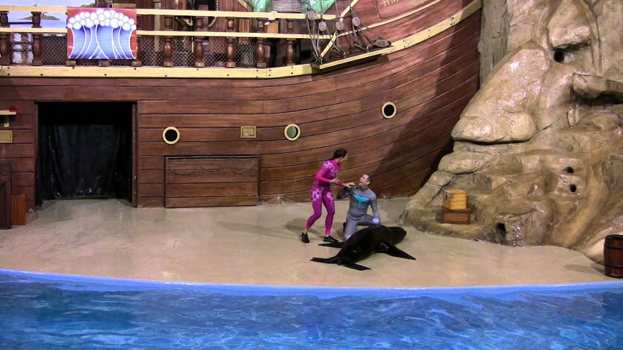[HD1080] Clyde & Seamore's Sealions Tonight, Seaworld, Orlando, Florida 2009