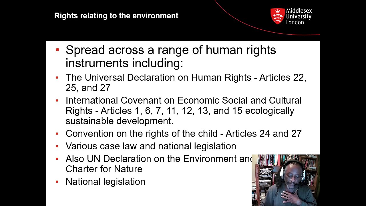 Green Criminology and the Right to a Healthy Environment