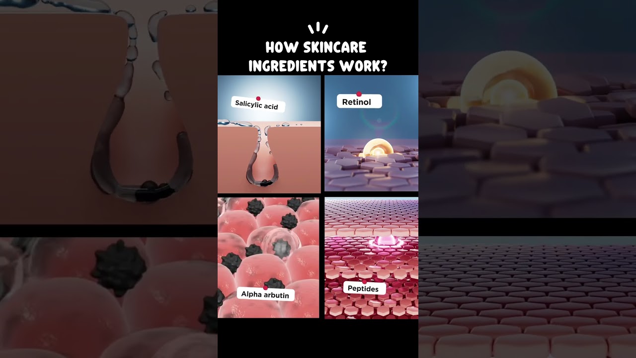 How do skincare ingredients work | how does retinol work | how do peptides work | Salicylic acid