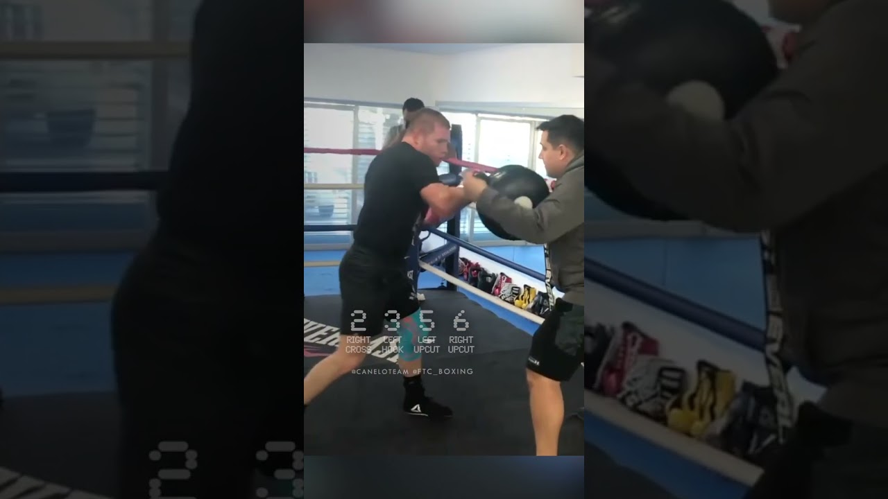 DESTROY the Punch Shield like Canelo&hellip; 🥊