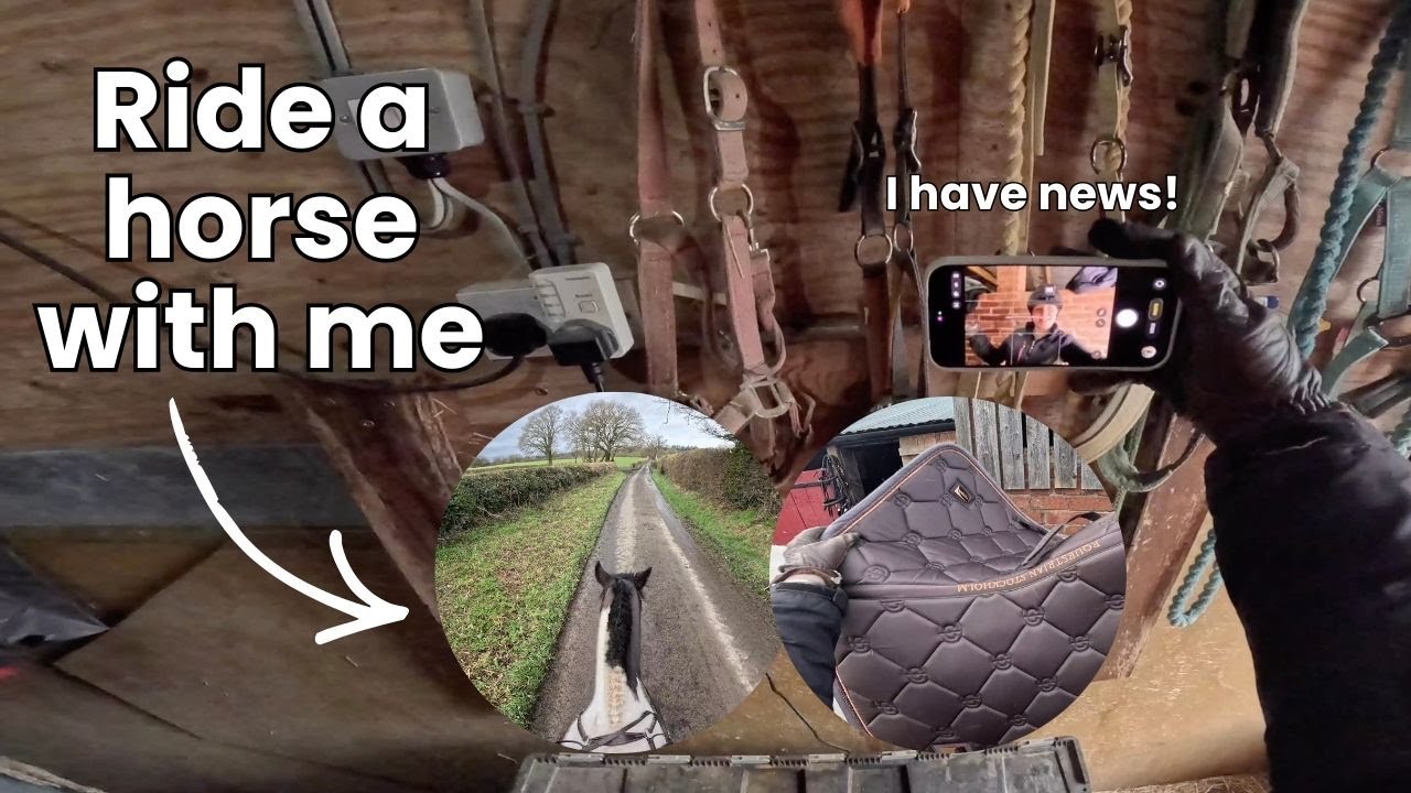 GROOM, TACK UP AND RIDE WITH ME | Something Exciting Is Happening... | Lilscliffe