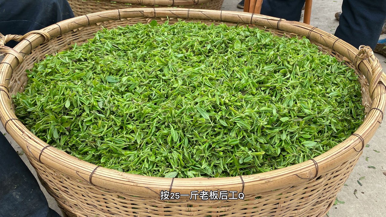 看看茶厂是怎样炒至茶叶的，实拍炒茶全过程，顺便看看路边风景