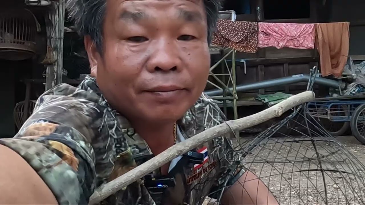 นกเขาใหญ่ตาฝั่งพอง: แนะนำกลไกเพนียดนกเขาใหญ่คอนบนหลังใหม่