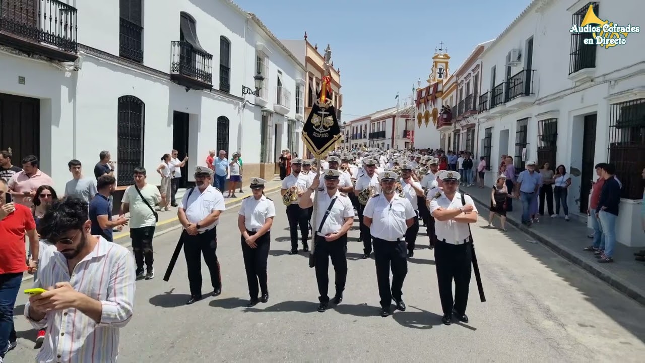 Señor de Nervión - BCT Rosario de Cadiz en Villalba del Alcor 2024