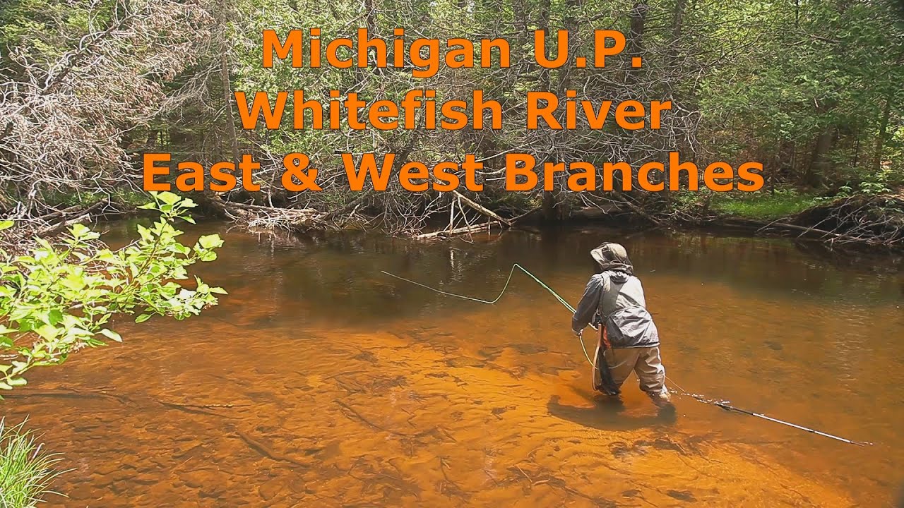 Fishing the Whitefish River, Michigan U.P.
