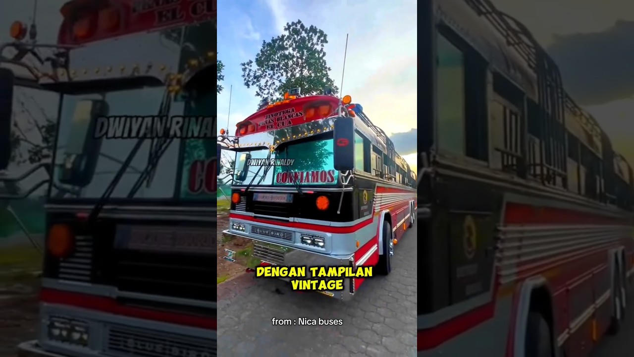 NGGAK NYANGKA , Ternyata Bus Ini Bener Bener 🤔 #busmania #pecintabus #bustronton