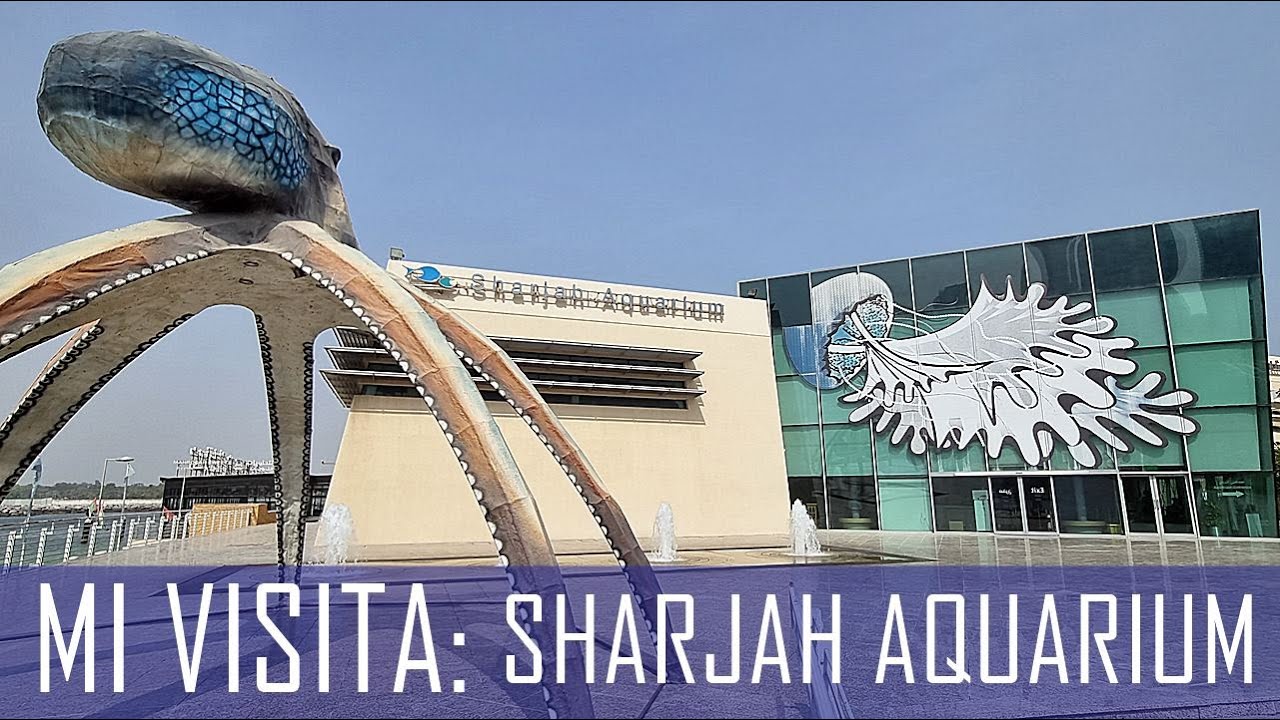 REVIEW: Sobre mi visita al Sharjah Aquarium