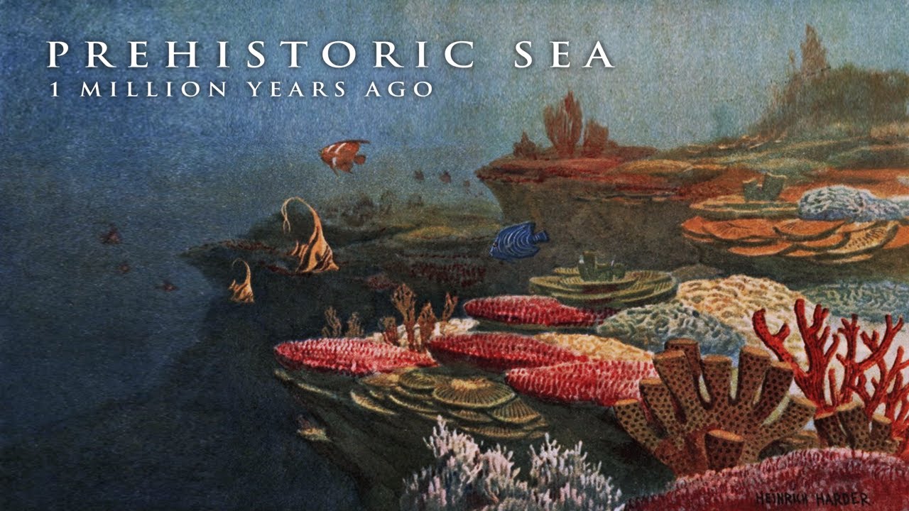 Доисторическое море, 1 миллион лет назад